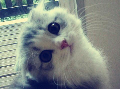 ͨ䲿Сͳ޾Ӫ߲泵ṩ